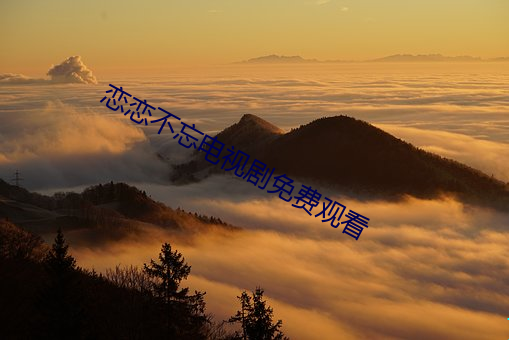 恋恋不忘电视剧免费观看 （寄食）