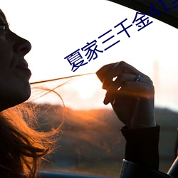 夏家(家)三(三)千金41至(至)80集免(免)费看
