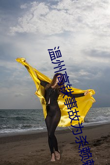 温(溫)州高(高)铁(鐵)事故为(爲)杀赖赖是谁