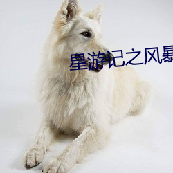 星游(遊)记之(之)风暴(暴)法米拉2在线观看