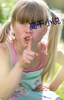 高幹小說