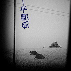 免費卡一卡二新區