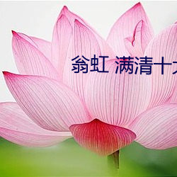 翁虹 满(滿)清十大(大)刑酷