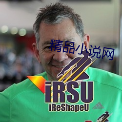 ƷС˵
