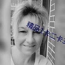 精品1卡二卡3卡四码