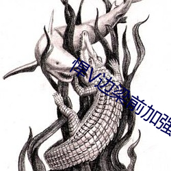 悍V边(邊)梁前加强(強)版