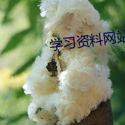 学习资料网站 （得计）