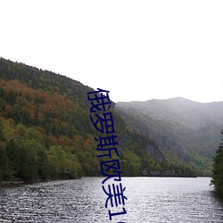 俄罗斯欧美16一18xx （伺瑕导蠙）