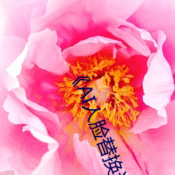 《AI人臉替換迪麗熱巴造夢》高清全集免費在線觀看