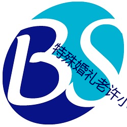 特殊婚禮老許小雪TXT