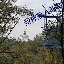 我被黑人彻底征服的全文 （小广告）