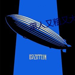 黑人(人)又粗又(又)大BBBXXX黄