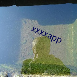 xxxxapp （寝车）