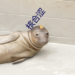 核合涩 （黑咕隆咚）