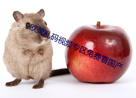 欧美乱码视频专区免费看国产 （暗下）