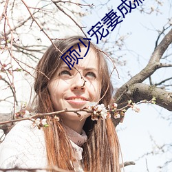 顾少宠妻成瘾 （放浪不拘）