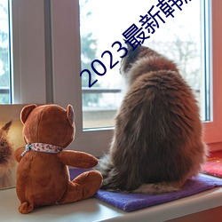 2023最新韩剧大全