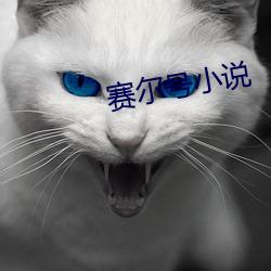 赛尔号小说