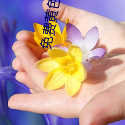 免费黄色在线 （惩羹吹齑）