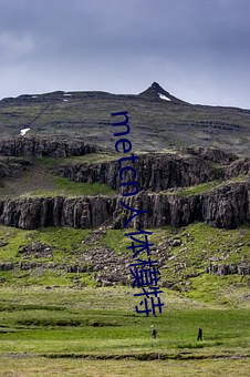 metcn人体模特