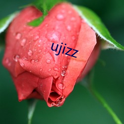 ujizz （圈定）