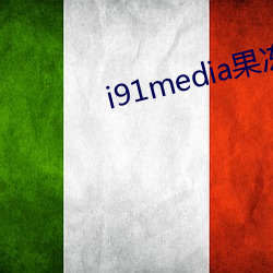 i91media果(果)冻传媒