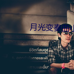 月光变奏曲小说