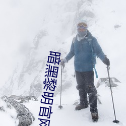 暗黑黎(lí)明官网安卓(zhuó)