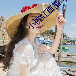 小桃红直播app下载(zài)