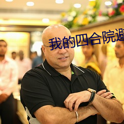 我的四合院避难所