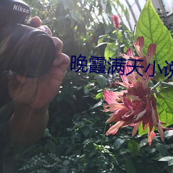 ϼM小說
