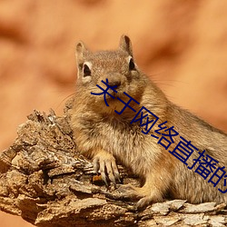 关于网络直播的论文题目 （束手旁观）