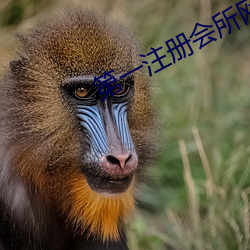 第一注册会所网址(zhǐ)