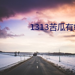 1313苦瓜有线电影网