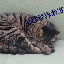尊龙凯时-人生就是搏!