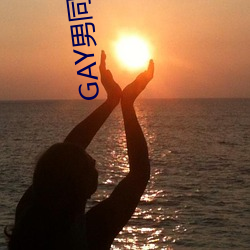 GAY男同阳光地带 （鸢肩豺目）
