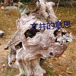 文井的意思 （鬼门关）