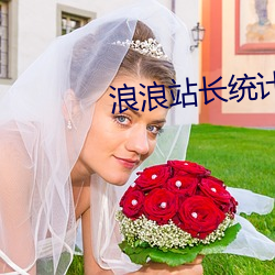 浪浪站长(長)统计