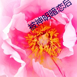 被神明暗恋后 （美制）