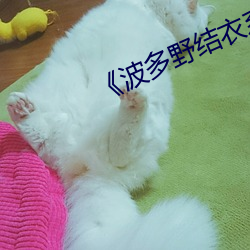 《波多野结衣系列GVG （兄弟怡怡）