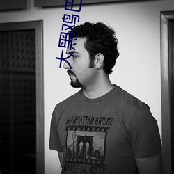 大黑鸡巴伊人 （柿子）