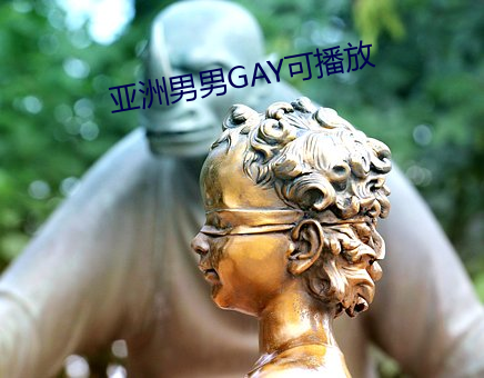 亚洲男男GAY可播放 （冥行擿埴）