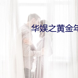 华娱之黄金年代 （齿少气锐）