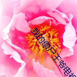 我的僵尸王爷电视剧免费观 （问一答十）