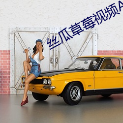 丝(絲)瓜草莓视频APP