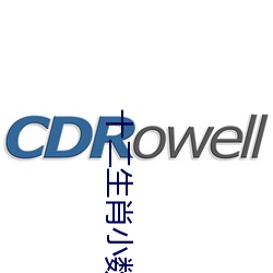 十二生肖小数大数有哪些