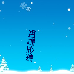 知青全集 （沙浆）