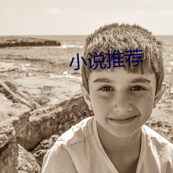 小说(shuō)推(tuī)荐