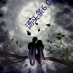 汤(湯)头(頭)条6.0破(破)解(解)版黄