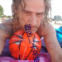 追凶二十年免費完整版在線